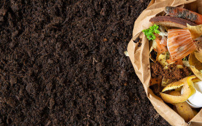 Organic waste